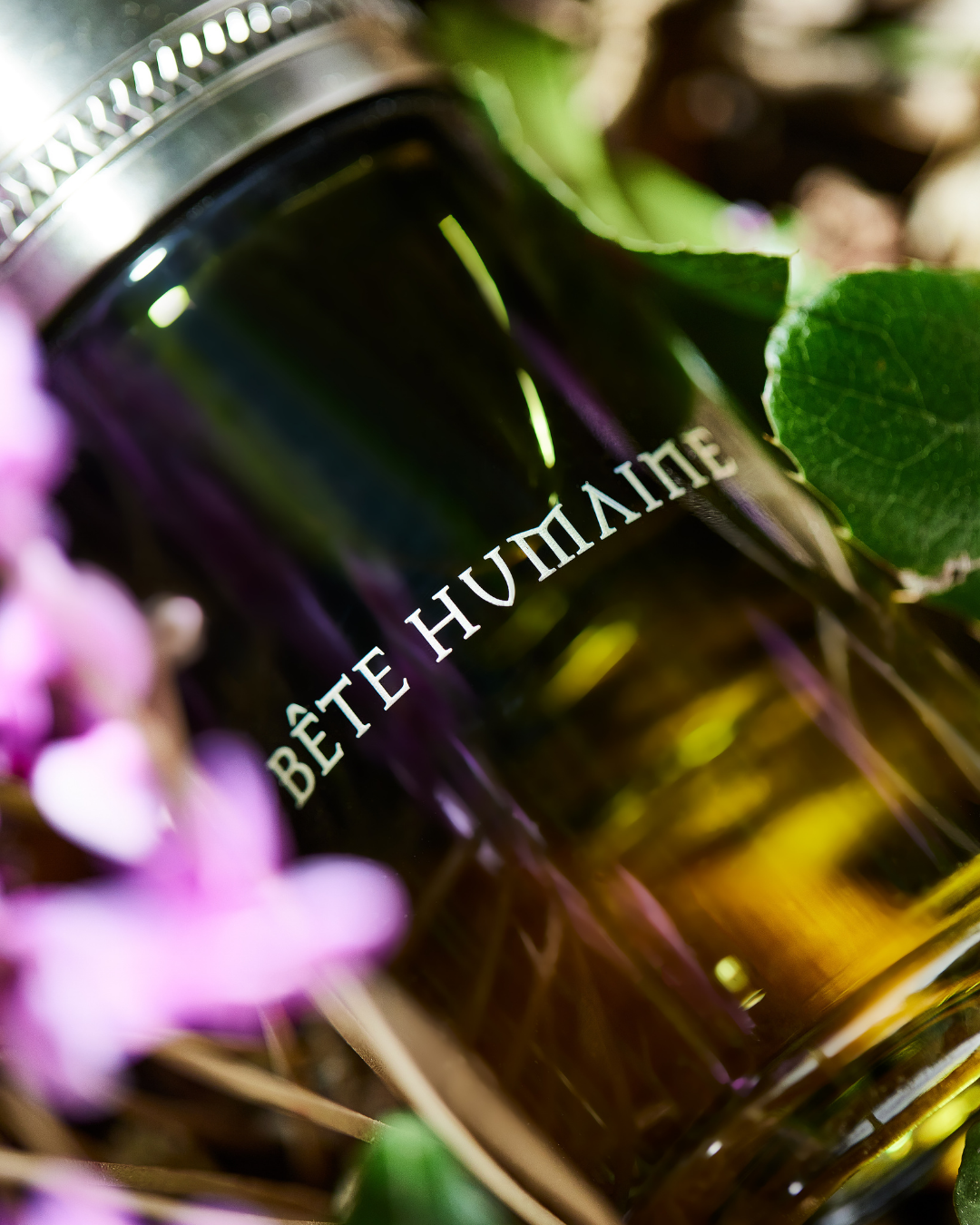 Bête Humaine