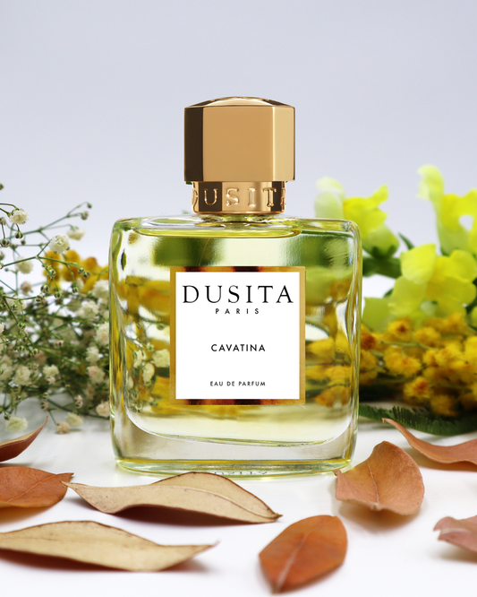 Cavatina