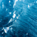Aquatic