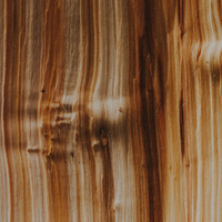 Atlas Cedar