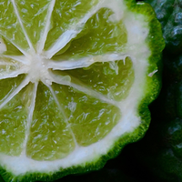 Bergamot
