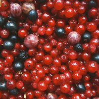 Berries