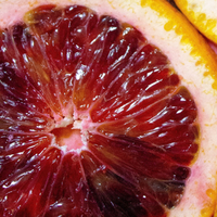 Blood Orange