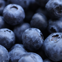 Blueberry