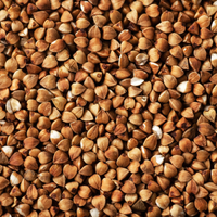 Buckwheat
