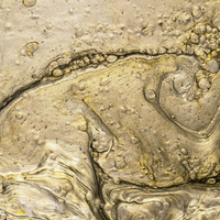 Castoreum