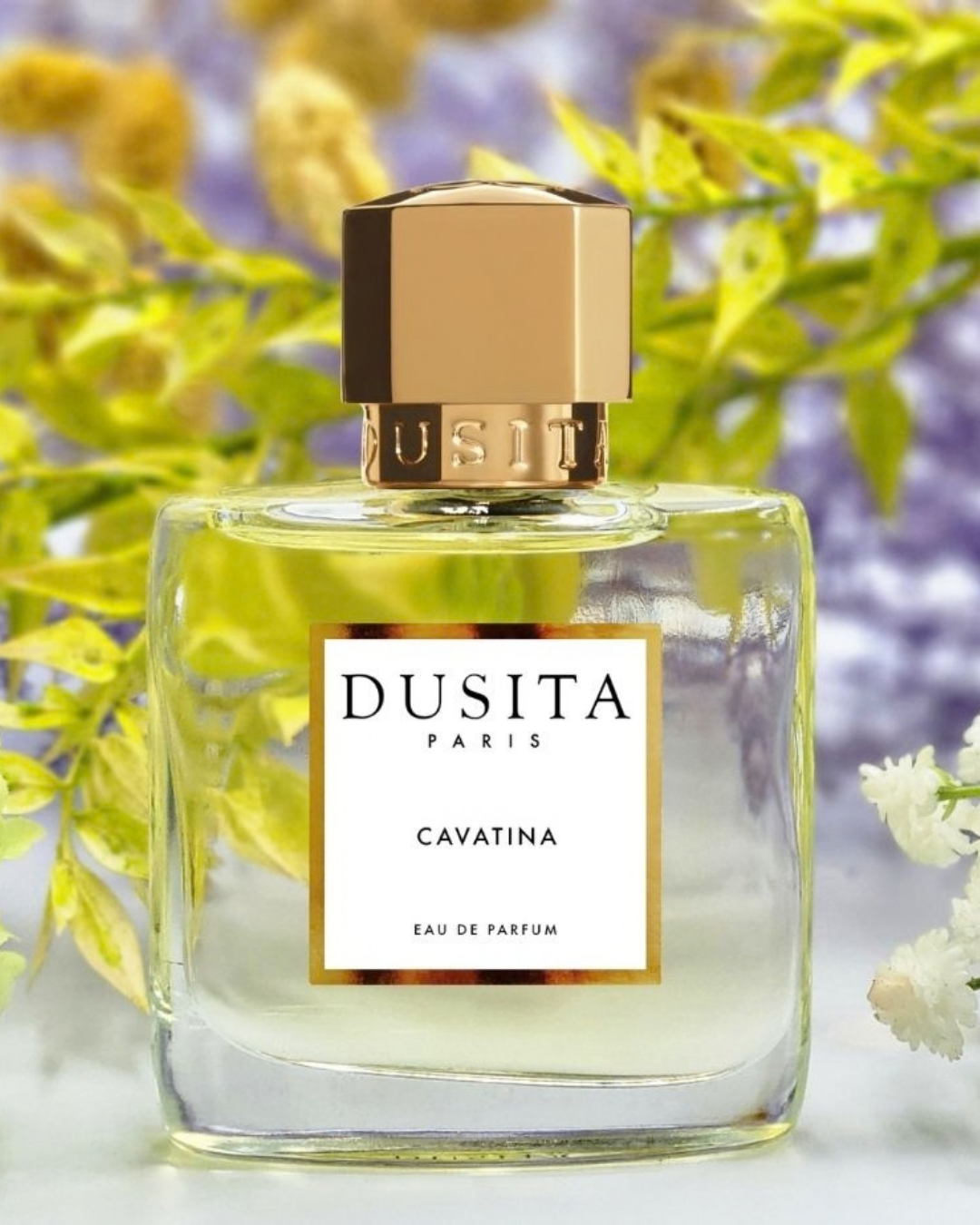 Cavatina