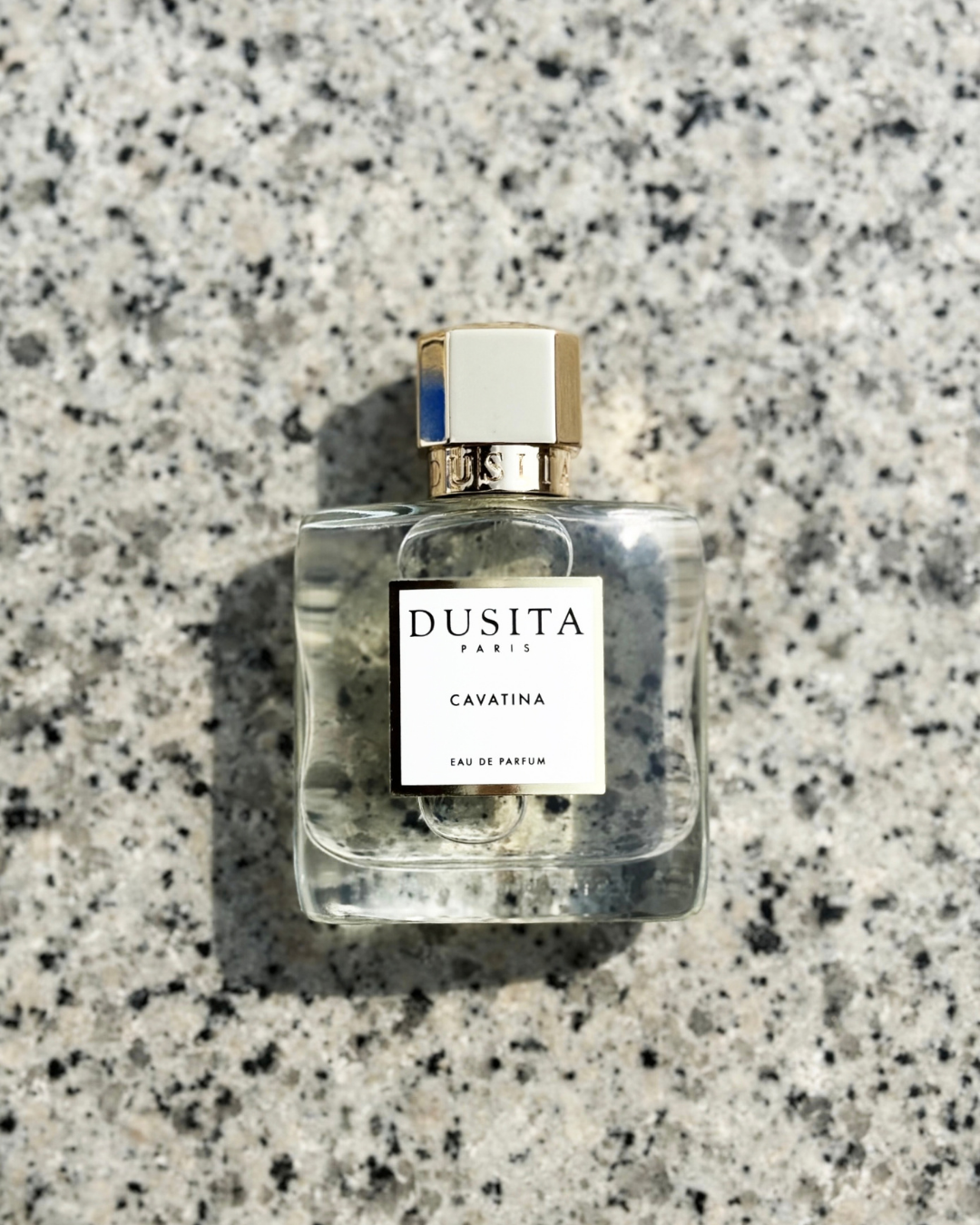Cavatina