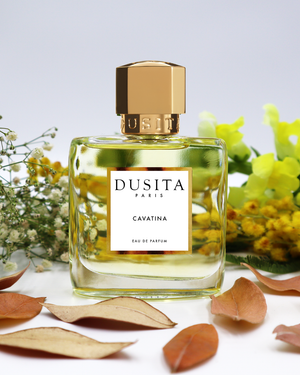Cavatina