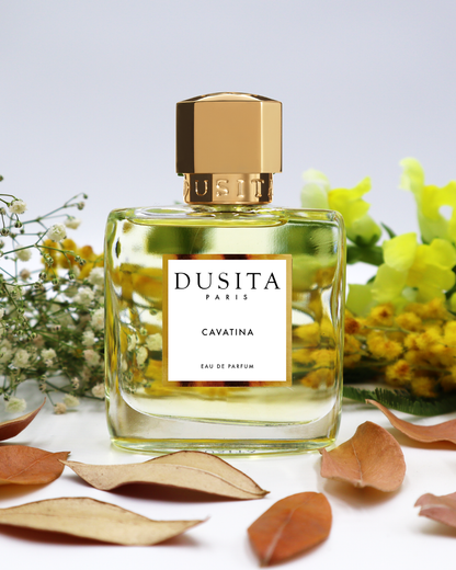 Cavatina