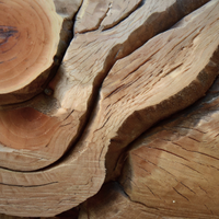 Cedar