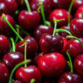 Cherry