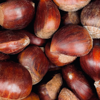Chestnut