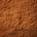 Cinnamon