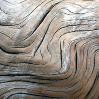 Driftwood