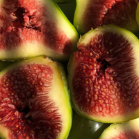Fig
