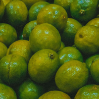Green Mandarin