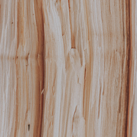 Hinoki Wood