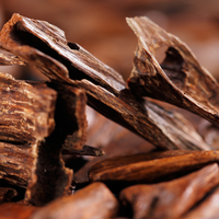 Laotian Oud