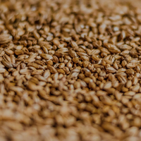Malt