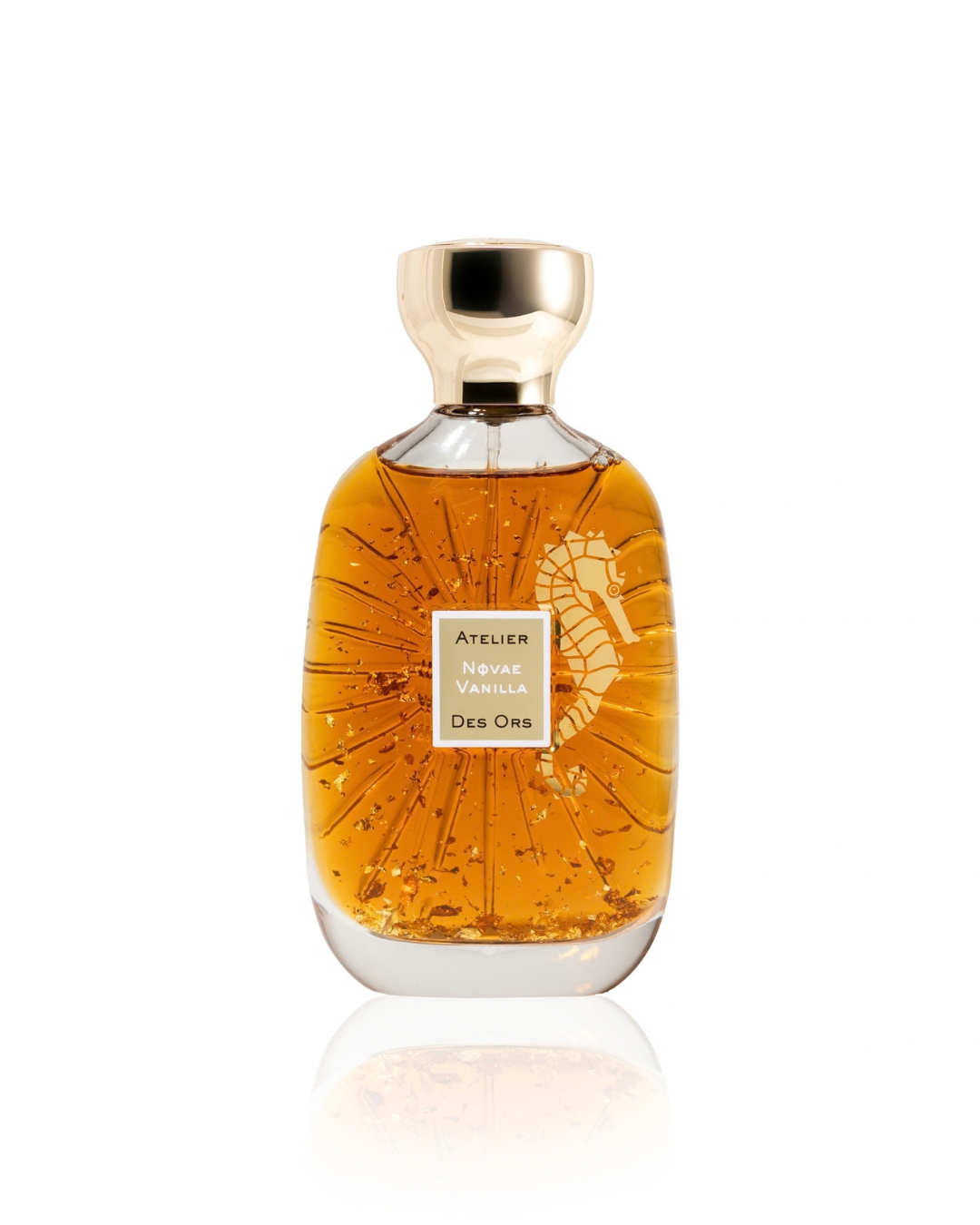 Novae Vanilla