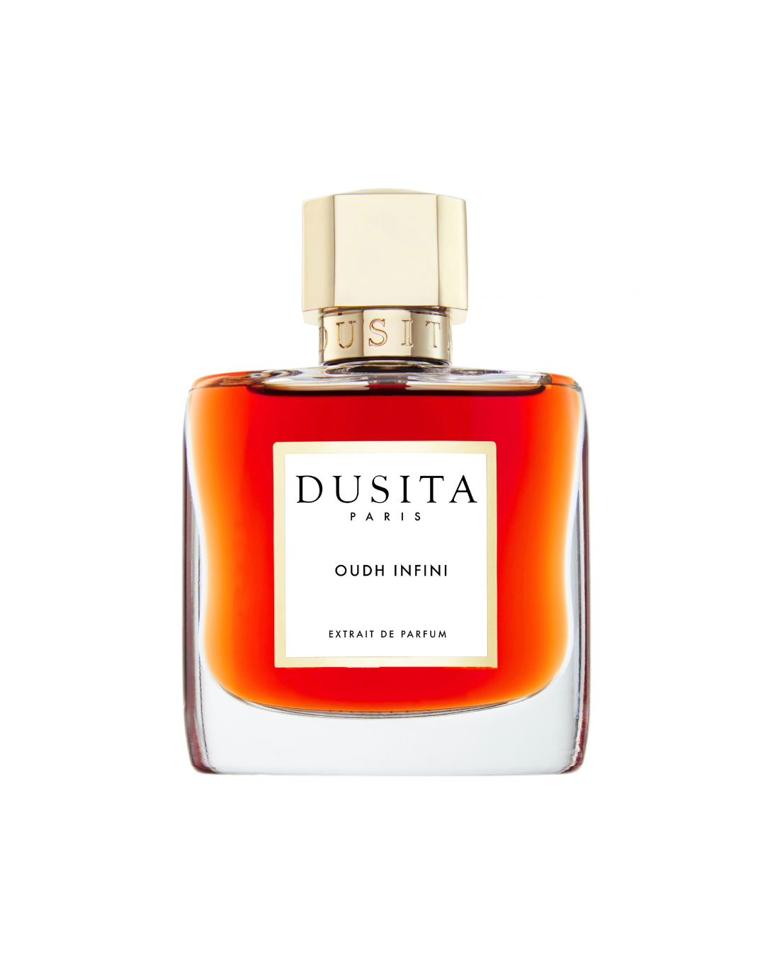 Oudh Infini