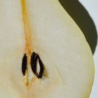 Pear