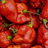 Pimento