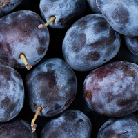 Plum