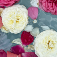 Rose Water