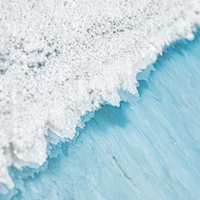 Sea Salt