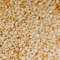 Sesame