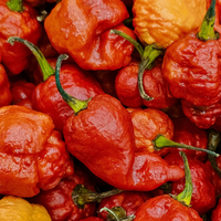 Sichuan Pepper