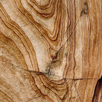 Teak Wood