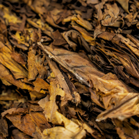 Tobacco