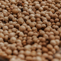 White Pepper