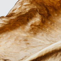White Tobacco