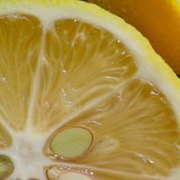 Yuzu